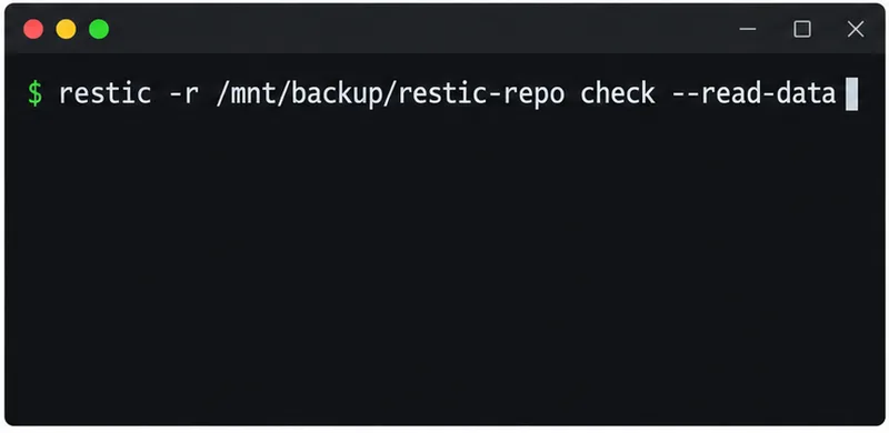 A dark terminal window shows the Restic command for checking repository data with the read-data option.