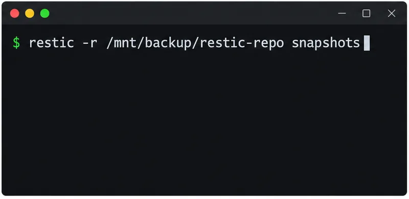 A dark terminal window shows the Restic snapshots command used to list saved recovery points.